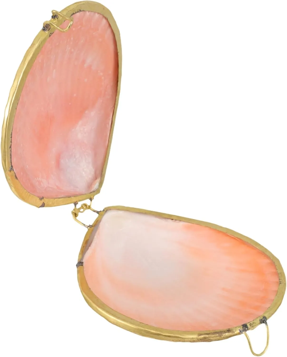 COHEALI Box the home decor ring case desktop decor small necklace container jewelry organizer shell jewelry case chic pearl clam scallop decorate natural freshwater shells