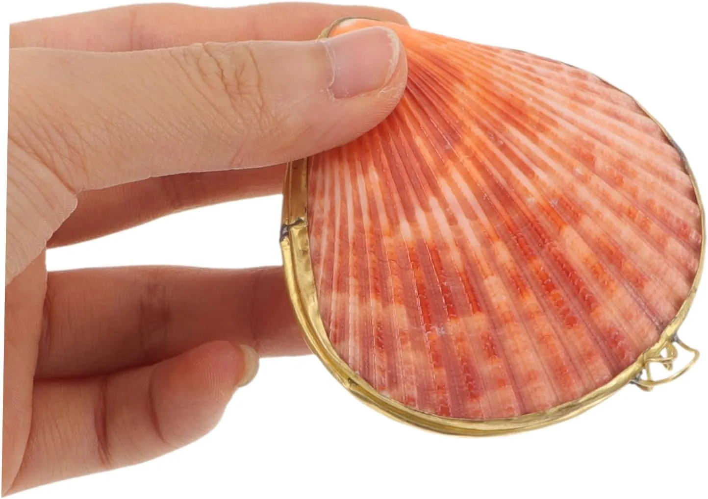COHEALI Box the home decor ring case desktop decor small necklace container jewelry organizer shell jewelry case chic pearl clam scallop decorate natural freshwater shells