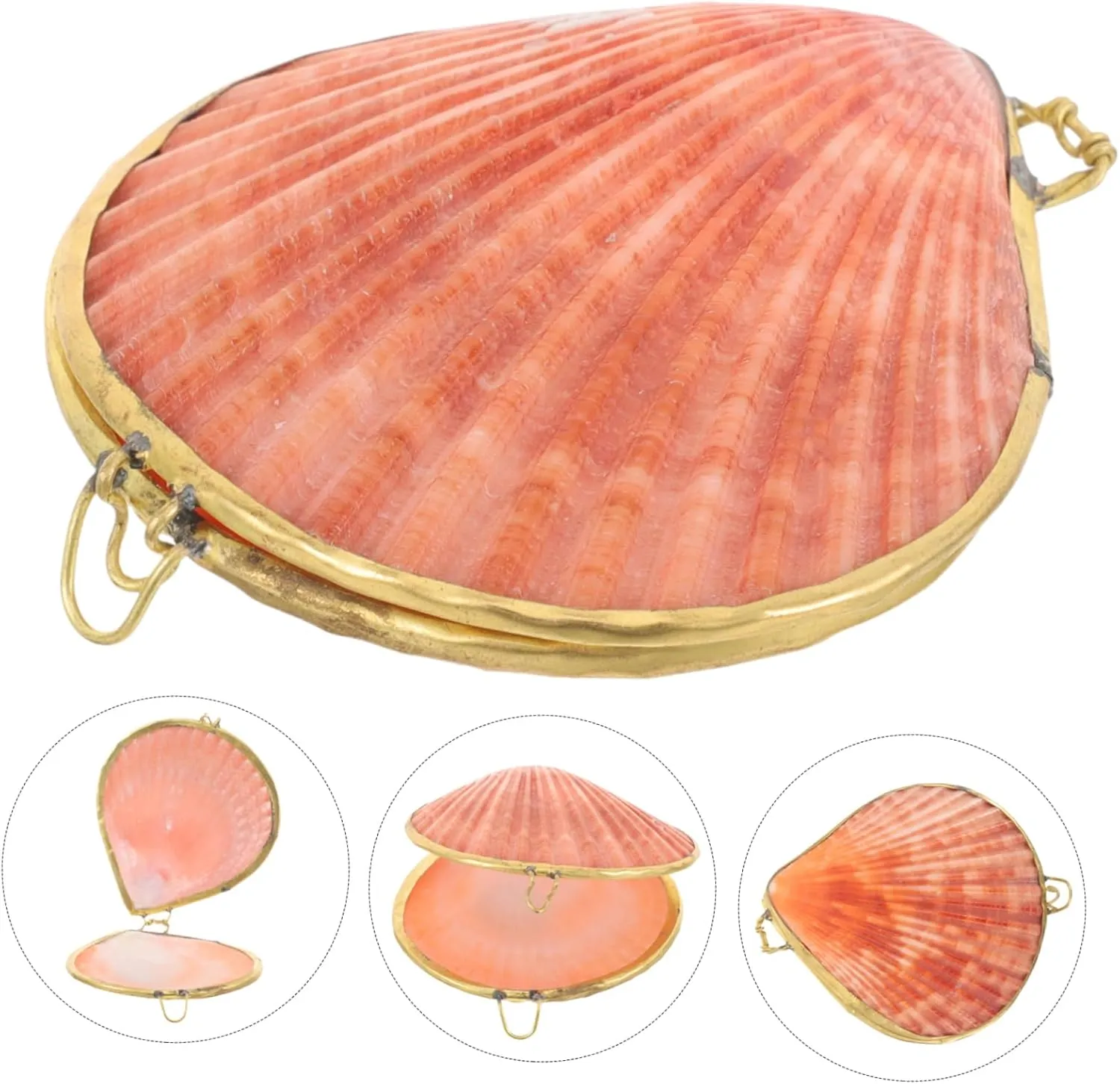 COHEALI Box the home decor ring case desktop decor small necklace container jewelry organizer shell jewelry case chic pearl clam scallop decorate natural freshwater shells