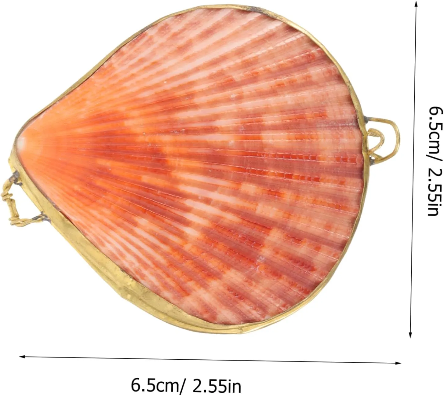 COHEALI Box the home decor ring case desktop decor small necklace container jewelry organizer shell jewelry case chic pearl clam scallop decorate natural freshwater shells