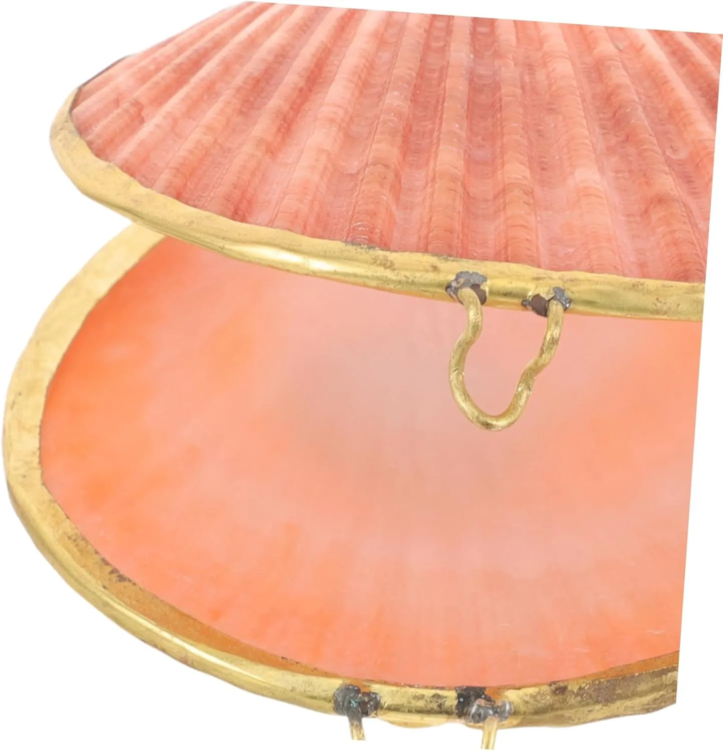 COHEALI Box the home decor ring case desktop decor small necklace container jewelry organizer shell jewelry case chic pearl clam scallop decorate natural freshwater shells