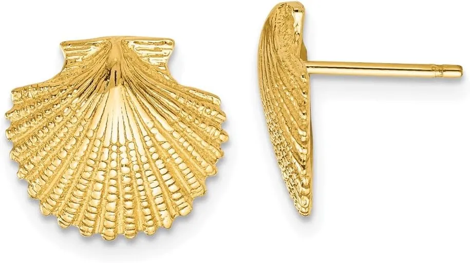 Real 14k Yellow Gold Scallop Shell Post Studs Earrings 13mm